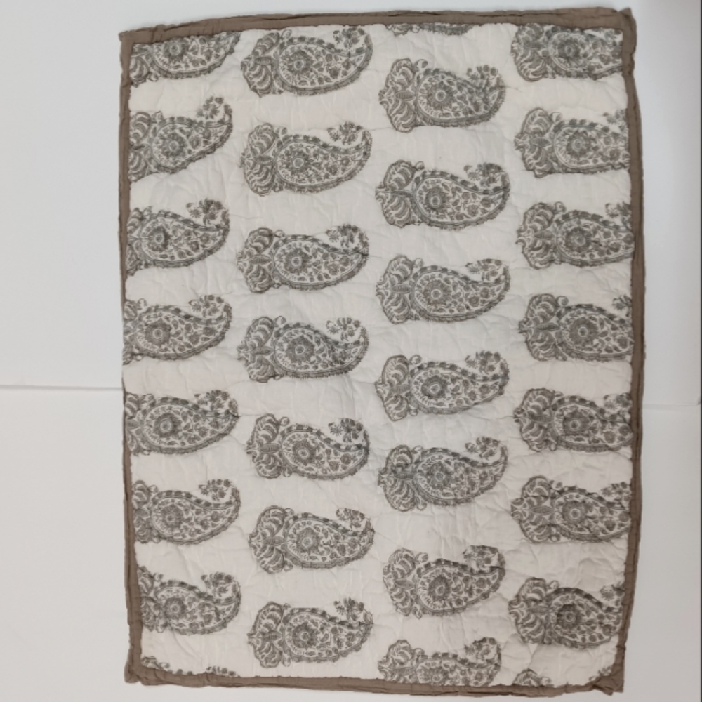 Pottery Barn Quilted Paisley Standard Shams Pair